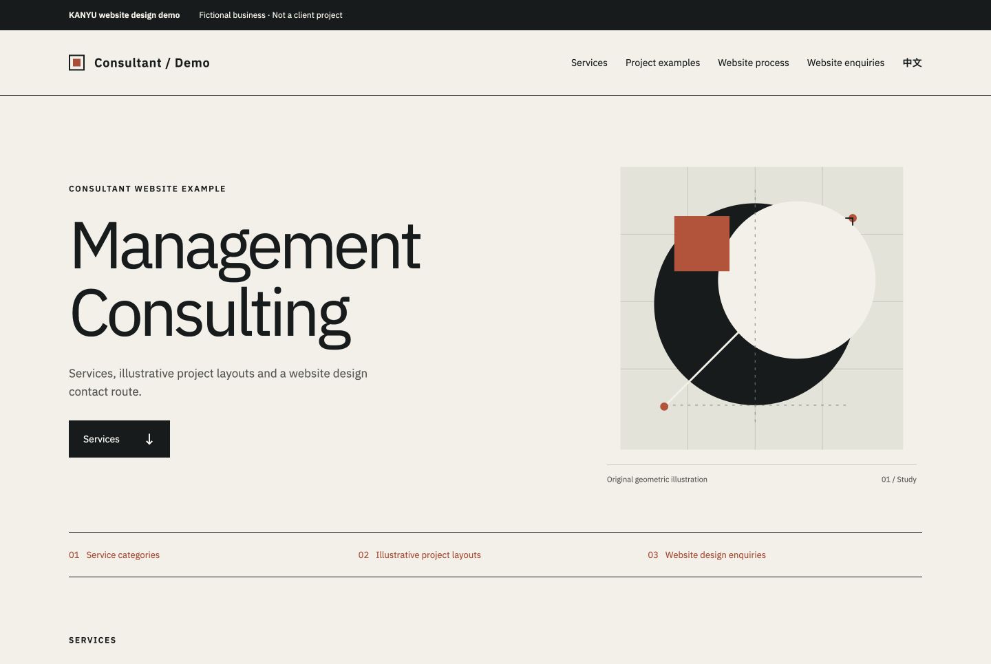 Consultant services website demo